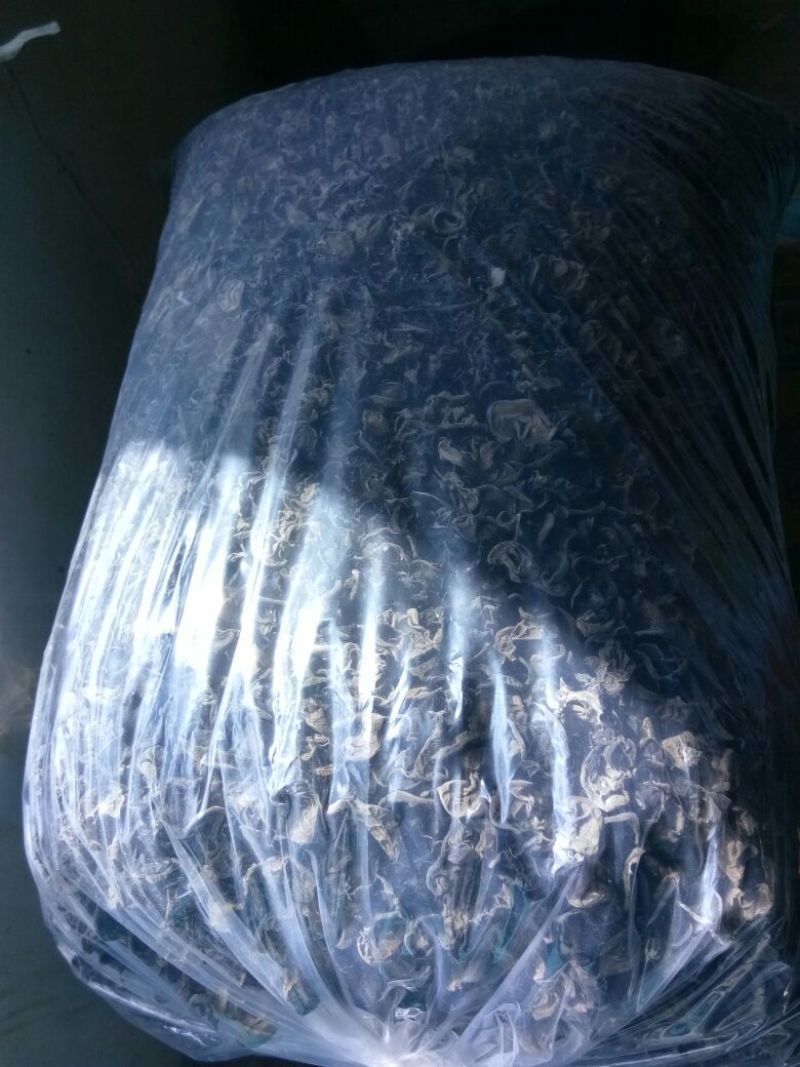 黑木耳一级