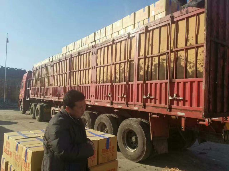 山东乐陵金丝枣基地诚信供应商品质超好质优价廉