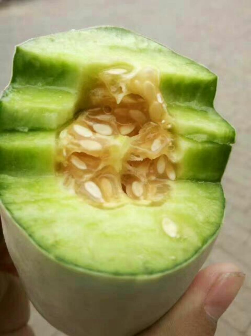 羊角蜜甜瓜1斤以上精品