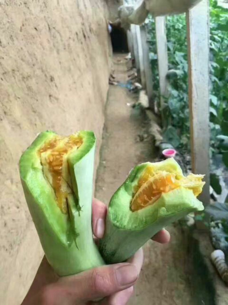 羊角蜜甜瓜1斤以上精品