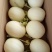 丰田香瓜1.5斤以上