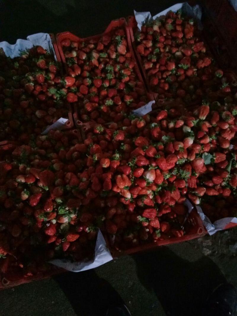 甜查理草莓，妙香30~40克