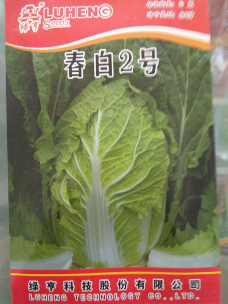 白菜种子