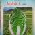 白菜种子
