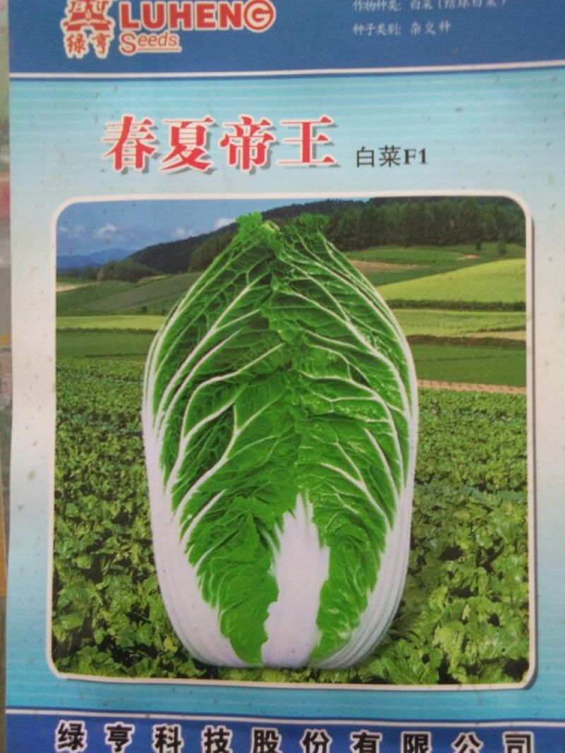 白菜种子