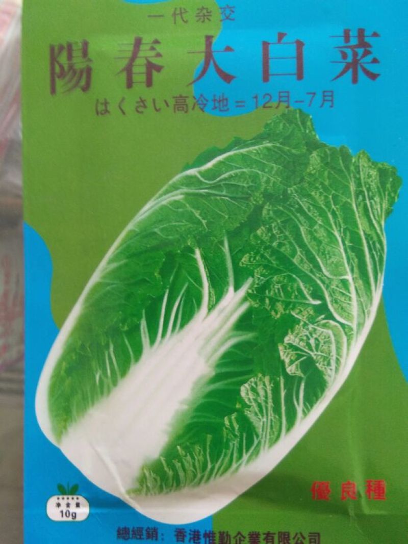 白菜种子