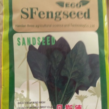 菠菜种子97%