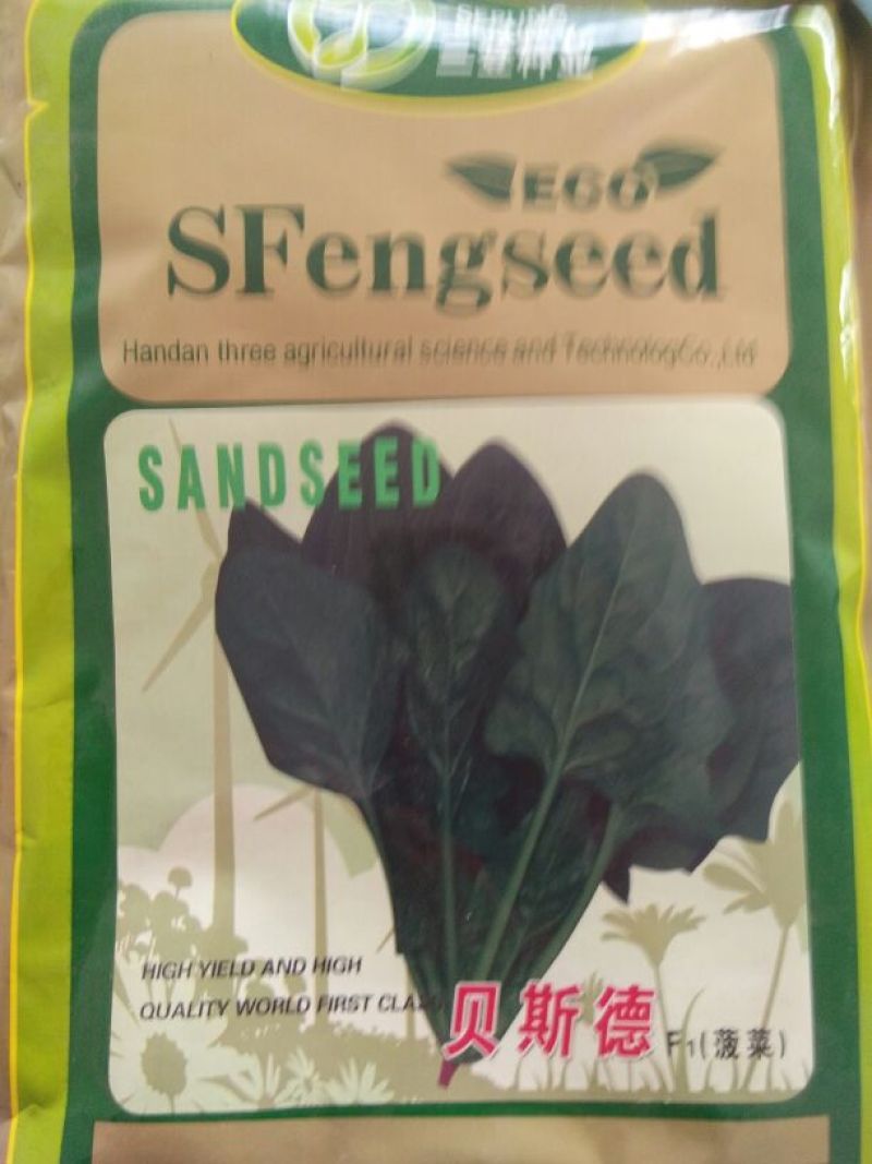 菠菜种子97%