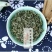 蒙顶甘露特级