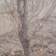 碧桃树苗60~70cm