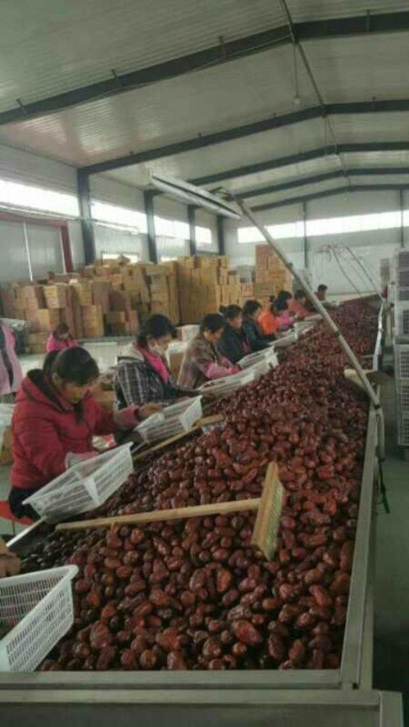 【实力商家】新疆和田大枣肉皮枣厂家直供箱装袋装
