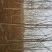 臭椿8~10cm8~10cm3.5~4米