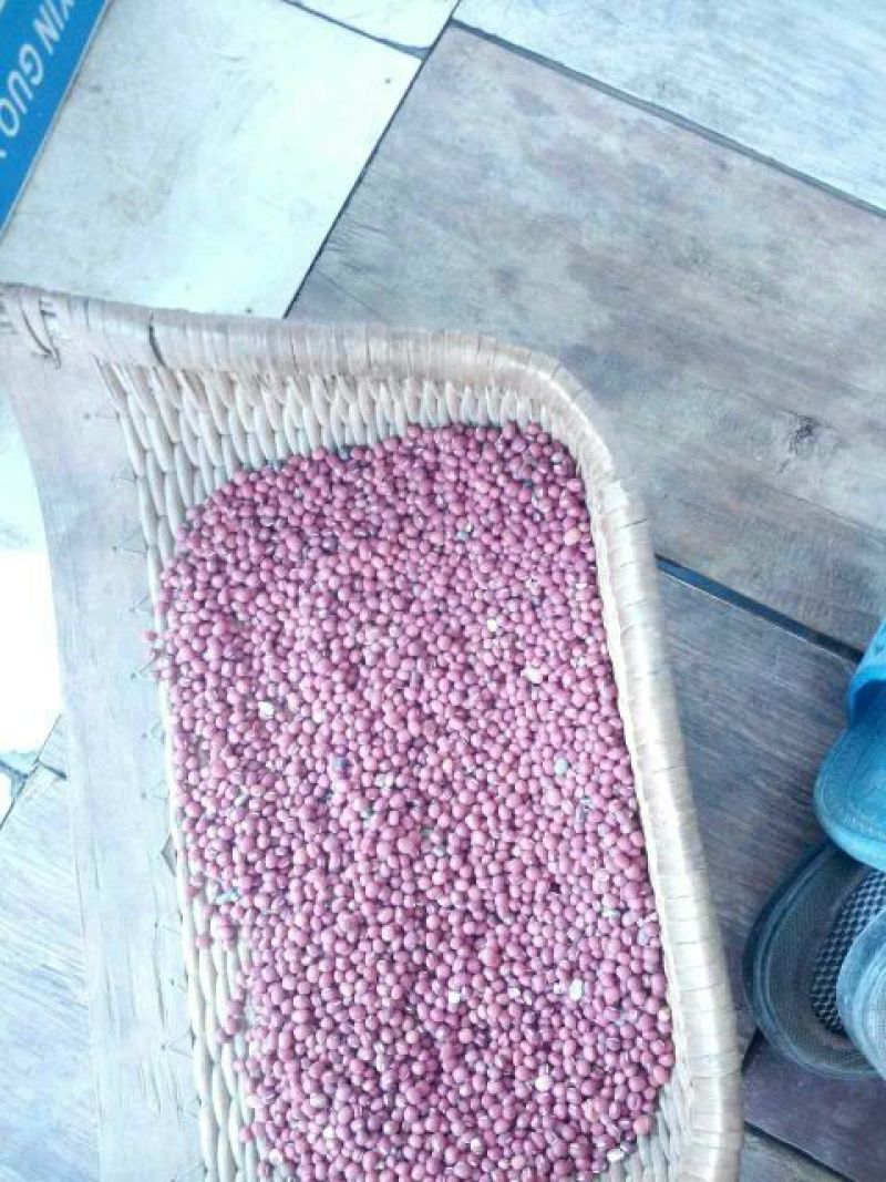 红小豆袋装