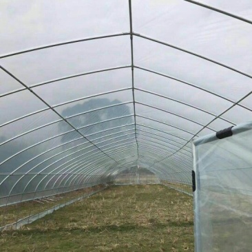 温室大棚镀锌管大棚，各种大棚配件，大棚配件