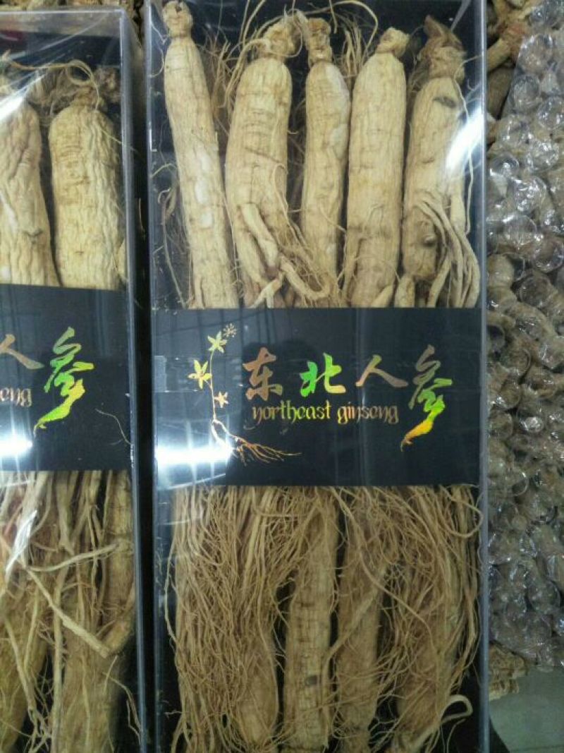 白参菇白参