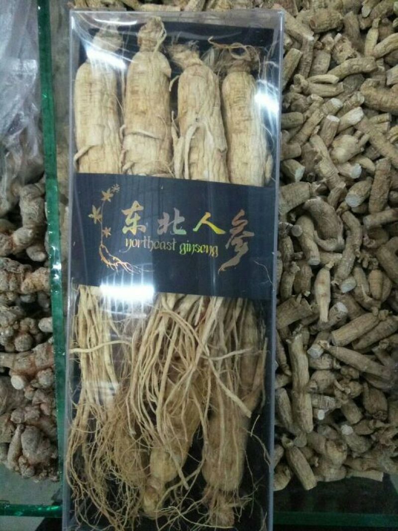 白参菇白参