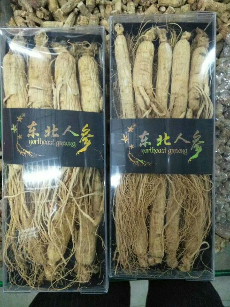 白参菇白参