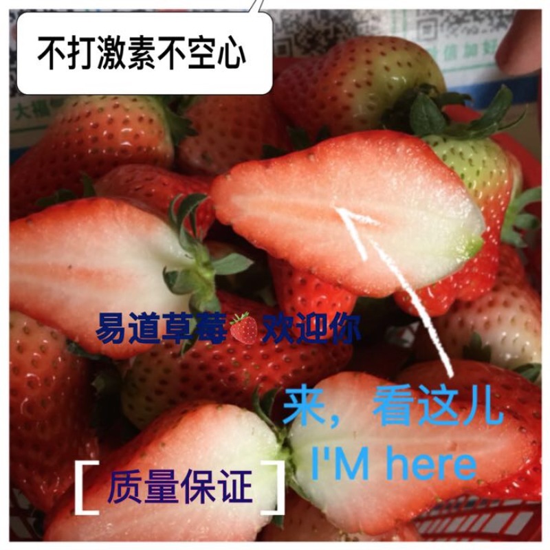 草莓30~40克