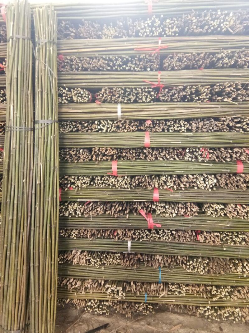 竹竿