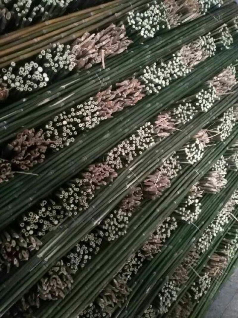 竹竿