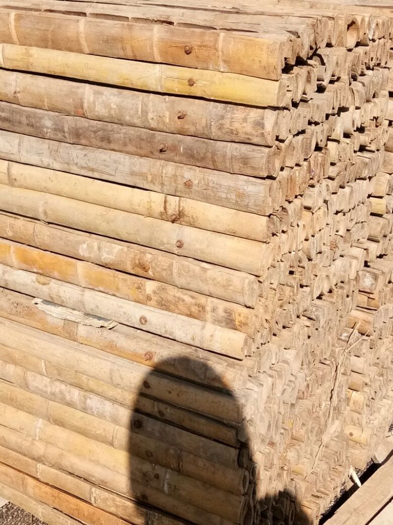 竹竿