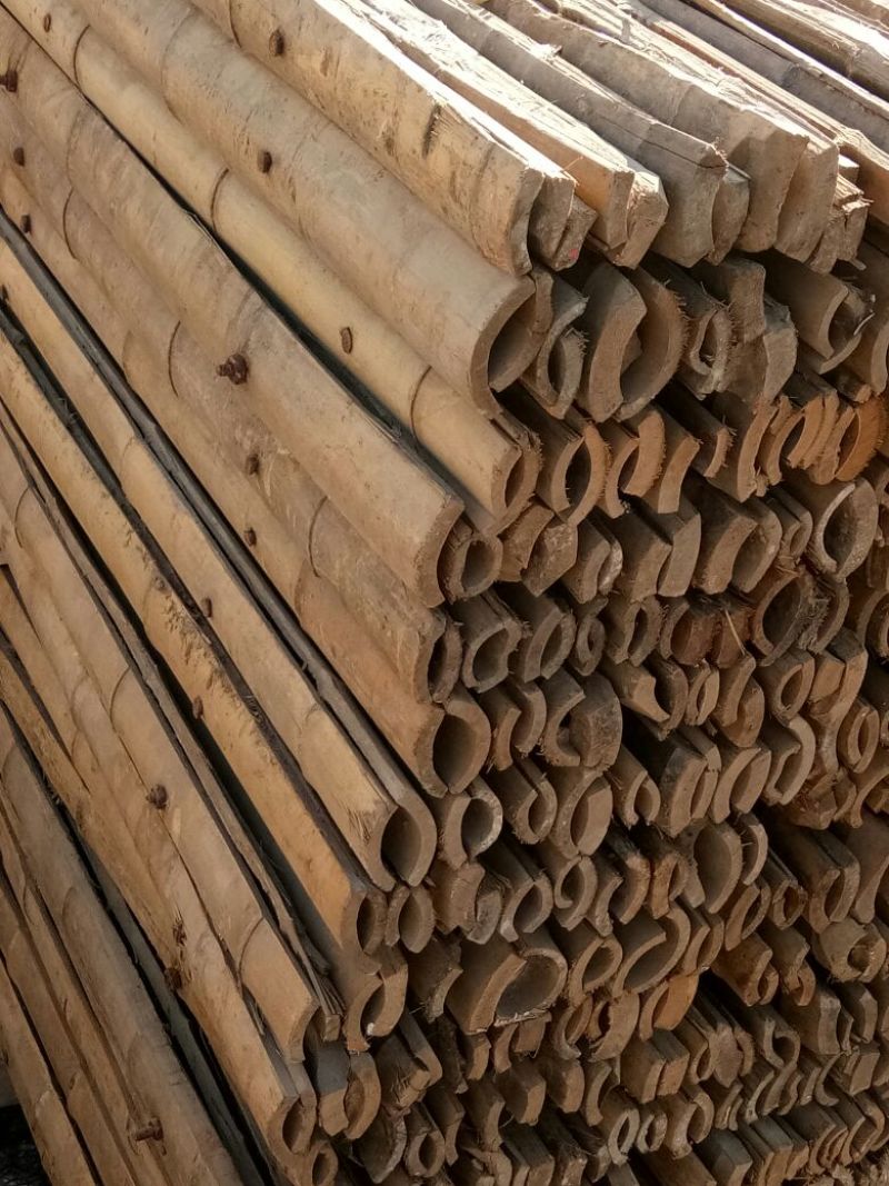 竹竿