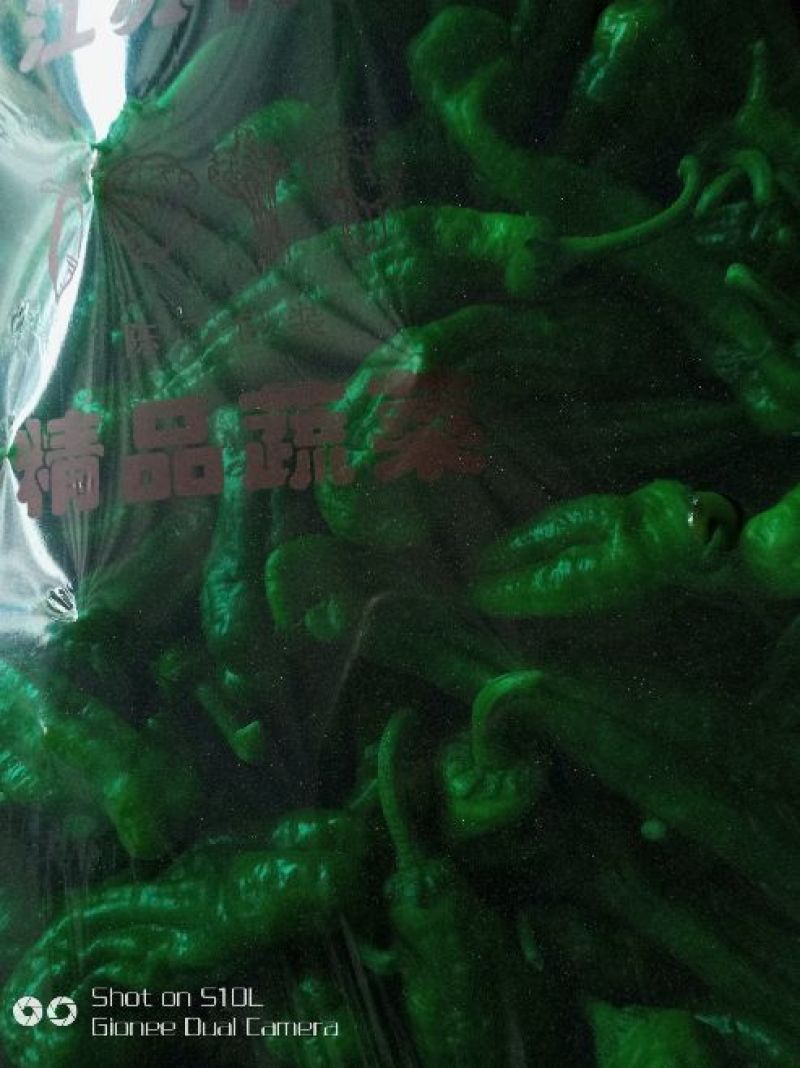 鲜辣椒，产地直发，大量供应，欢迎选购