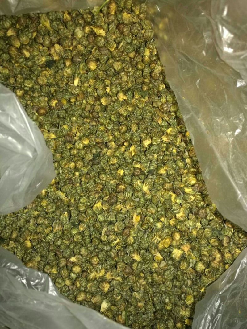杭州白菊袋装