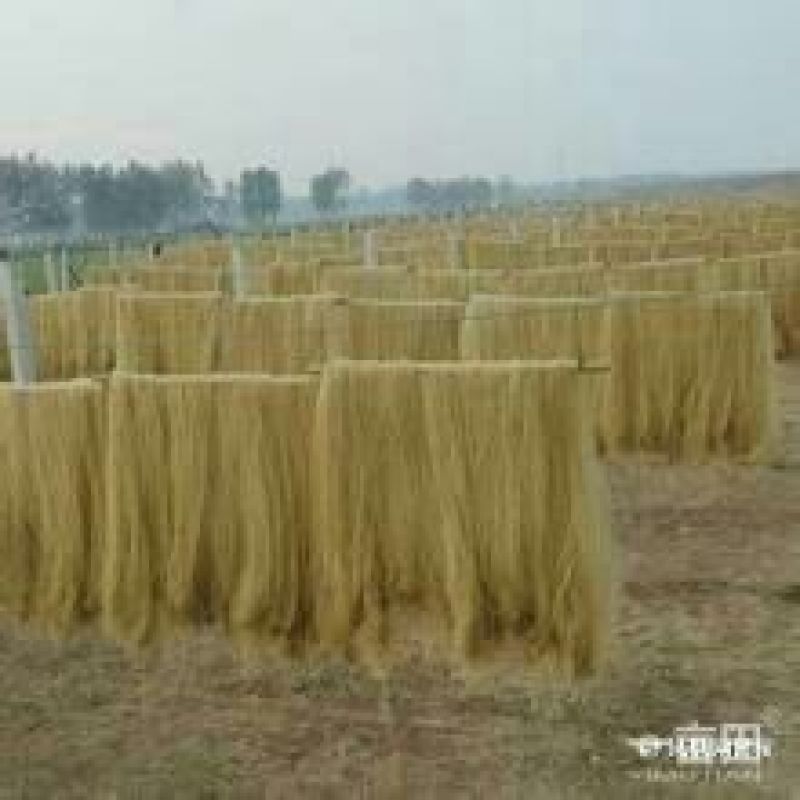 粉丝散装