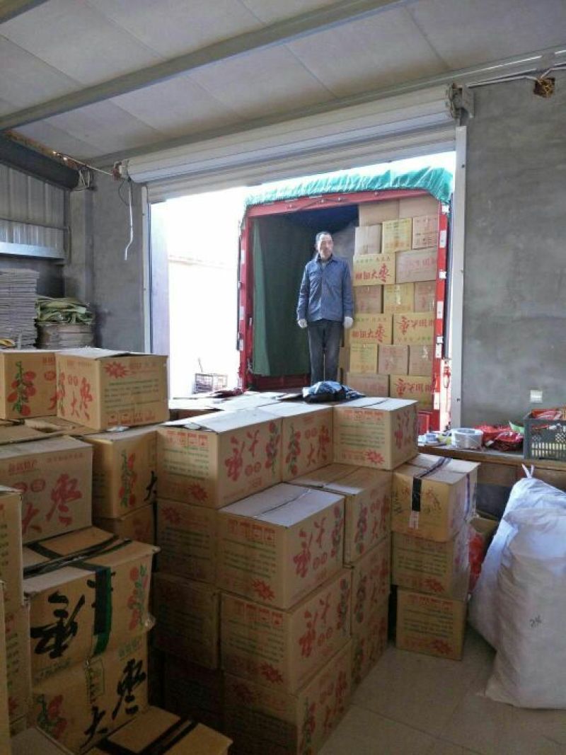 和田大枣袋装一元一包，赶会地摊电商代发