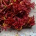 香椿芽10cm以下
