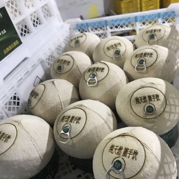 海南椰子1.5~2斤