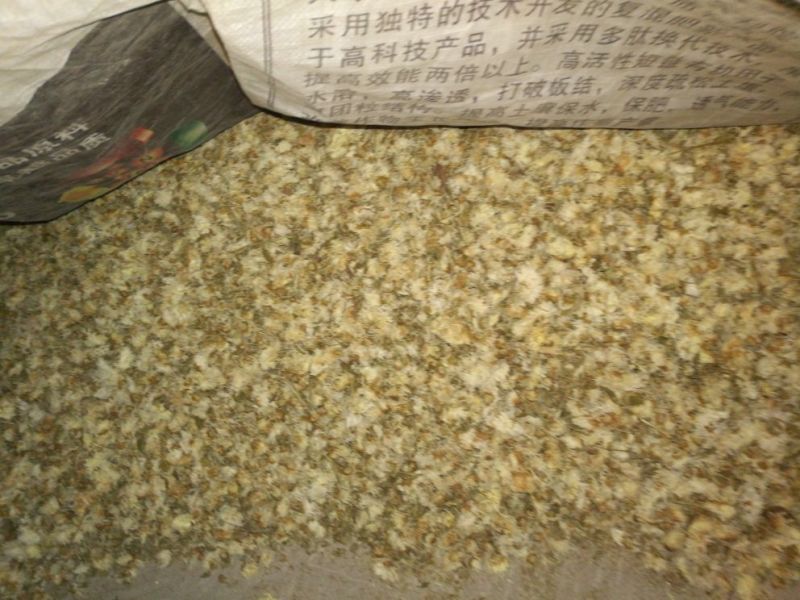 药用菊花散装