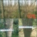 国槐10~12cm8~10cm1~2米