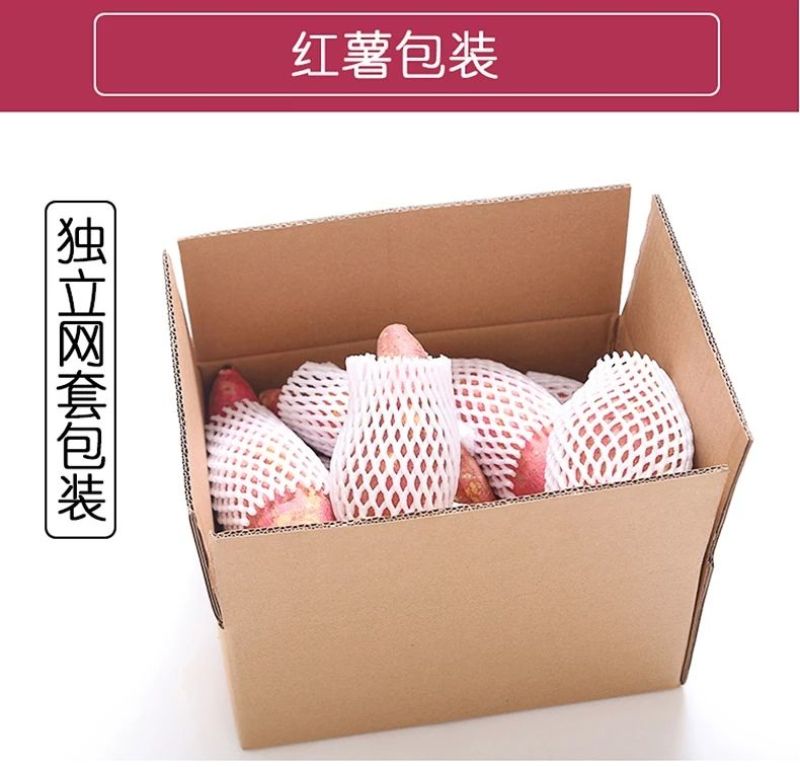 【现发现发】六鳌蜜薯净重5斤装包邮支持一件代发