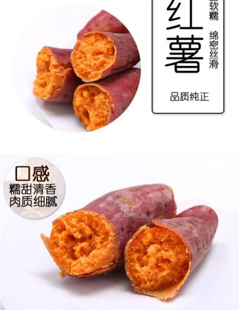 【现发现发】六鳌蜜薯净重5斤装包邮支持一件代发
