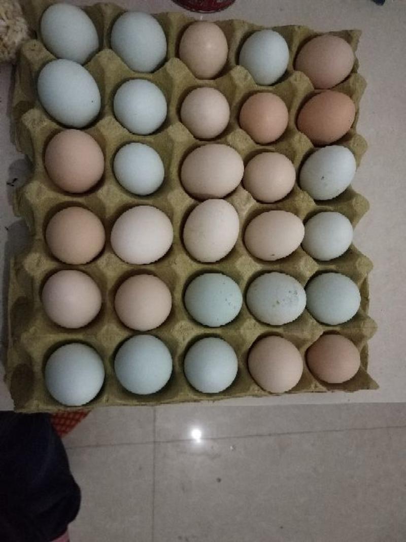 土鸡蛋40~50g食用