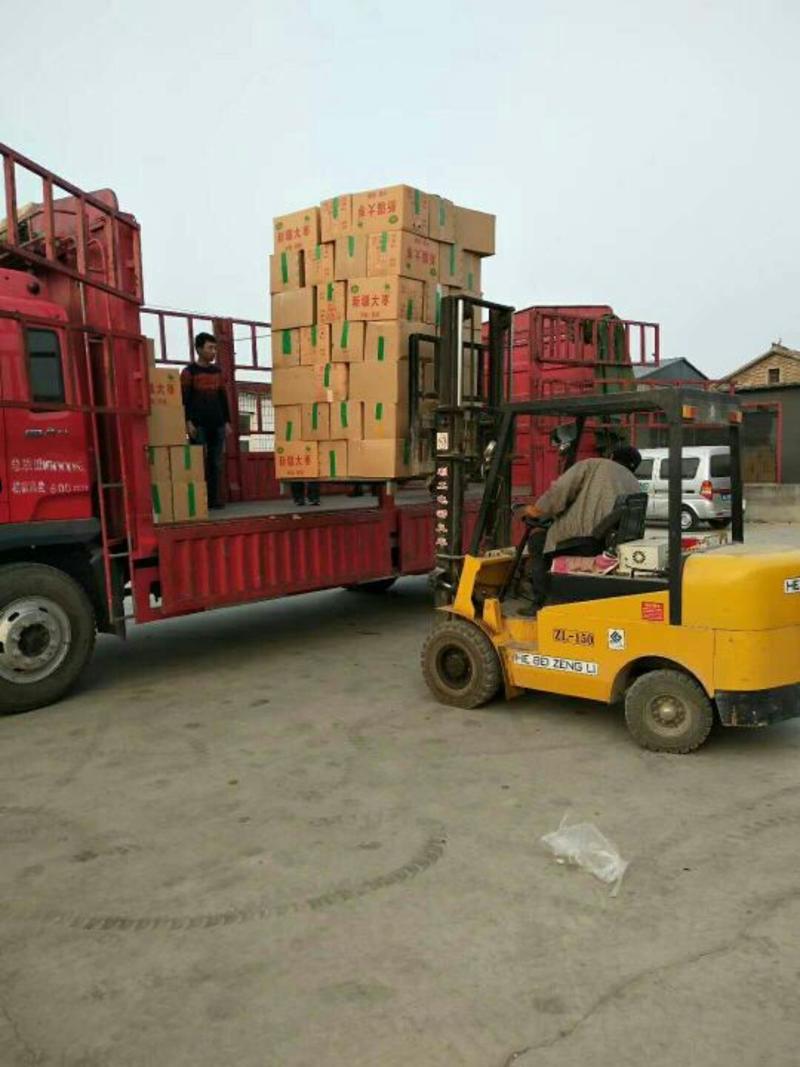 新疆红枣皮皮枣新疆大枣厂家批发打单电商发货