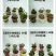 多肉植物带盆栽好