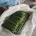 密刺黄瓜25公分以上鲜花带刺专业打包团队代发全国