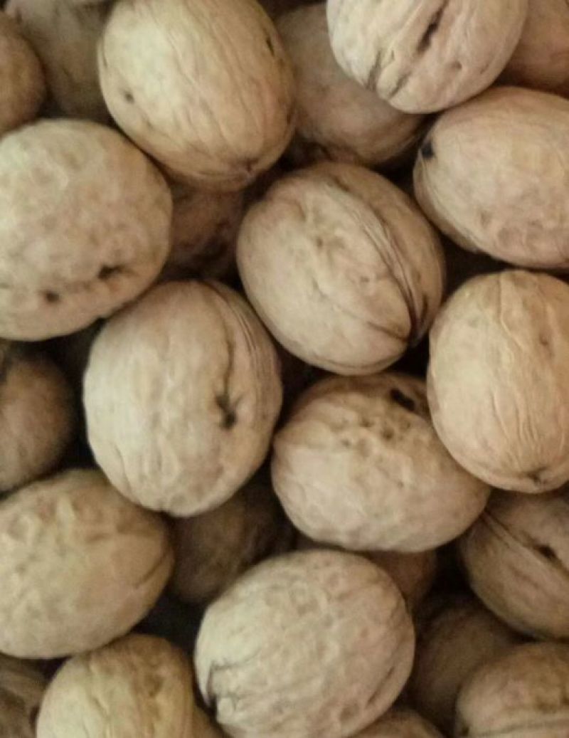 香玲核桃去皮30~35mm干
