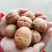 香玲核桃去皮30~35mm干