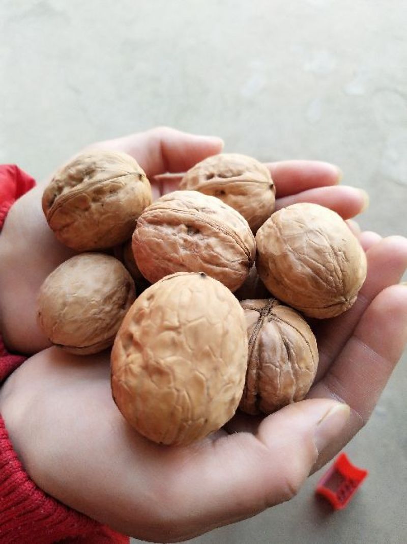 香玲核桃去皮30~35mm干