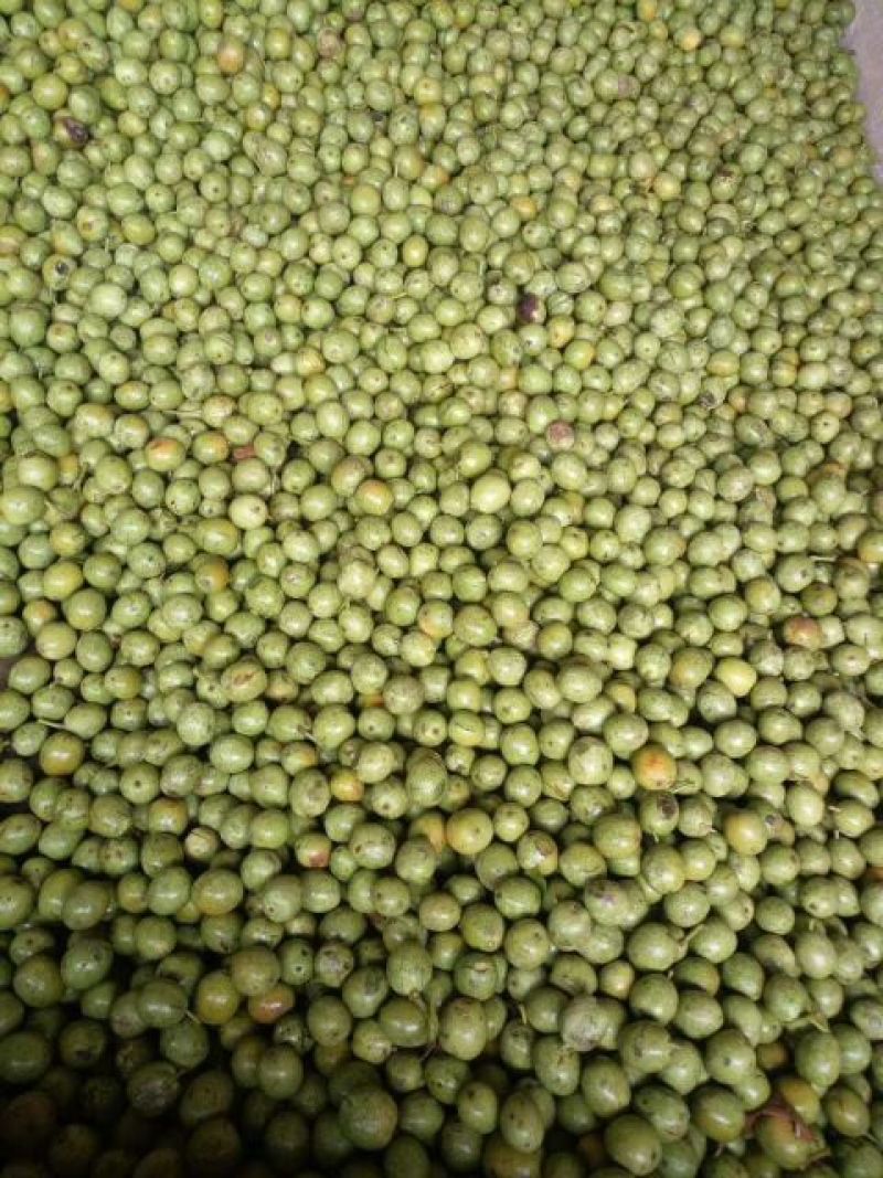 香玲核桃去皮30~35mm干