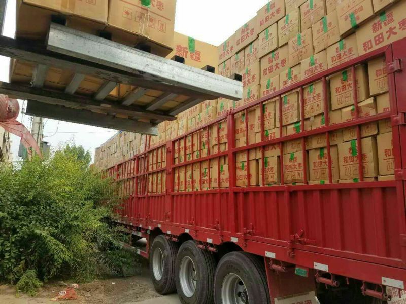 新疆红枣干红枣产地直发货源充足电商货源