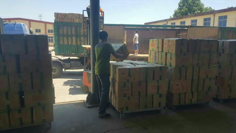 新疆红枣干红枣产地直发货源充足电商货源