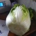 山东莒县黄心大白菜大量上市