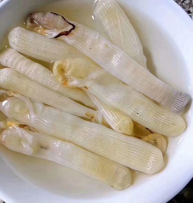 沙虫鲜活