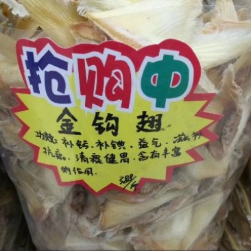 花胶中