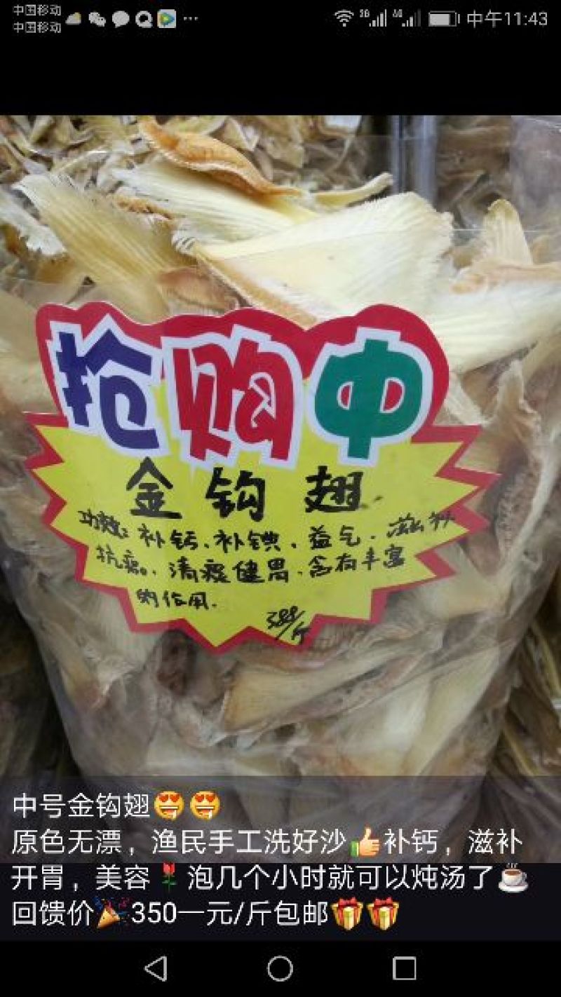 花胶中